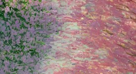 诺丁汉森林主场困境与桑德兰反超前瞻