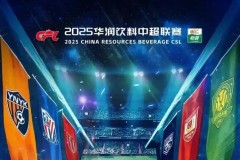 申花蓉城中超第25轮惊心动魄对决：亮点瞬间回顾